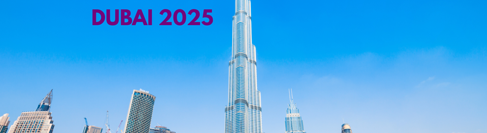 Untitled (844 x 231 mm) (3)